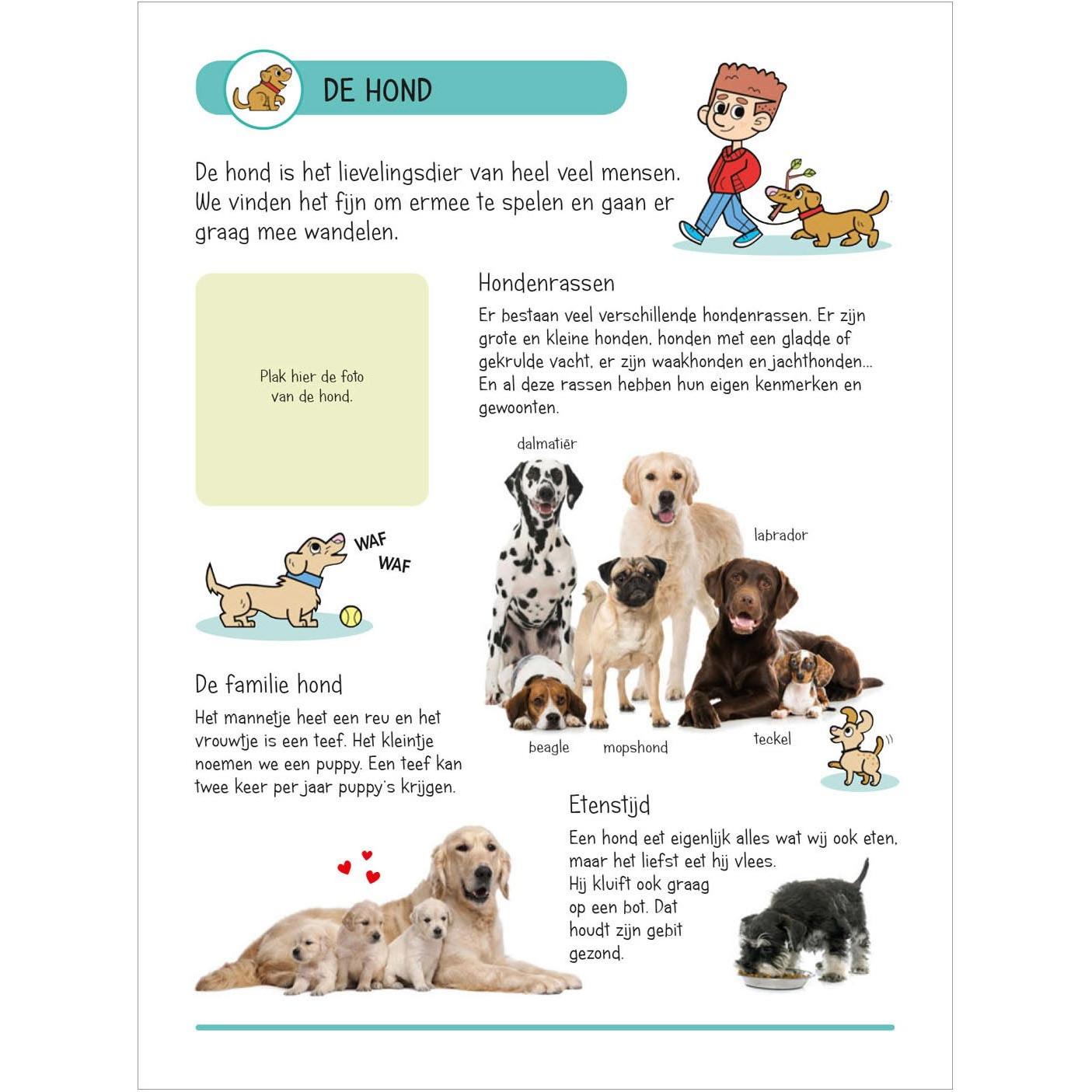 Thumbnail - Deltas, Sticker, Stickerbuch - Tiere in Haus und Garten