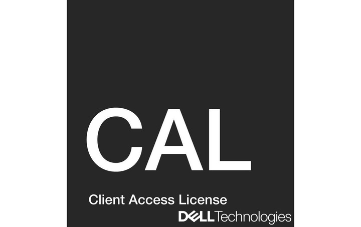 Actual product image Dell Windows Server 2022 User CAL 10 Pack, D/E/F/I ROK (10 User, unlimited)