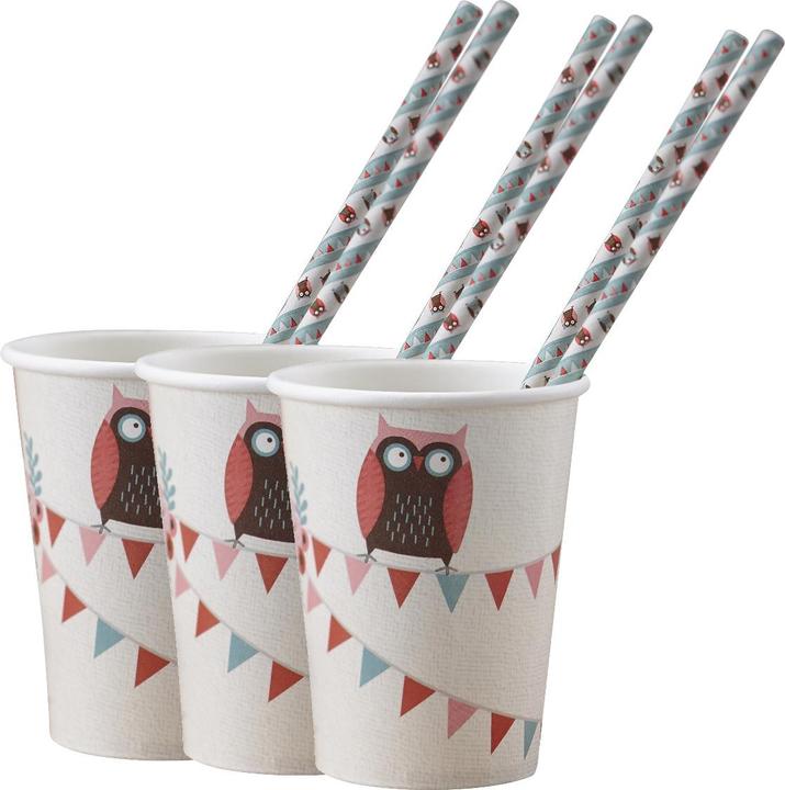 Image du produit Ginger Ray Gobelet hibou (8 pcs) (8 x)