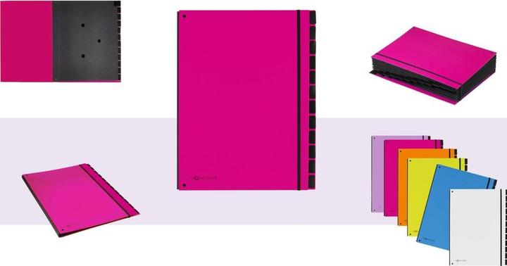 Image du produit Pagna Tendance des dossiers de bureau (A4, 1x)