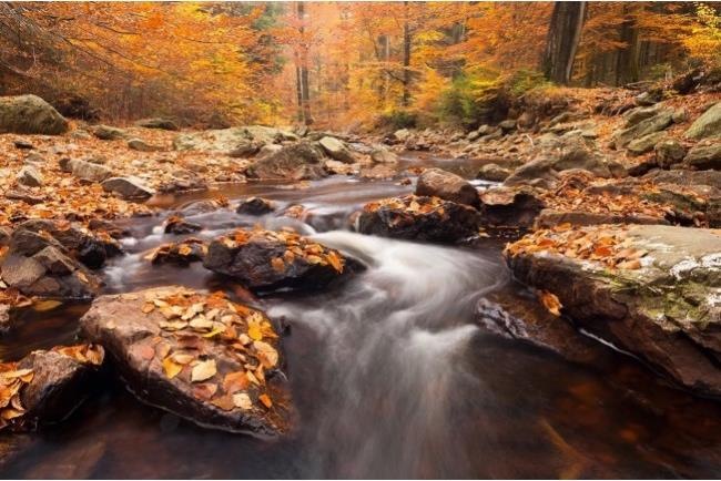 Produktbild Formatt Hitech Firecrest 67 mm ND Filter ND 3.0 (10 Blenden) (67 mm, ND- / Graufilter)