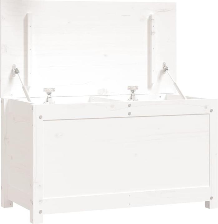 Actual product image vidaXL Truhe (40 cm, 1x)