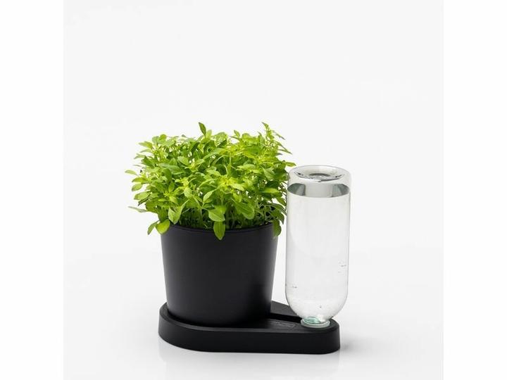 Produktbild Greevi Kräuterheld (10.50 x 21 cm)