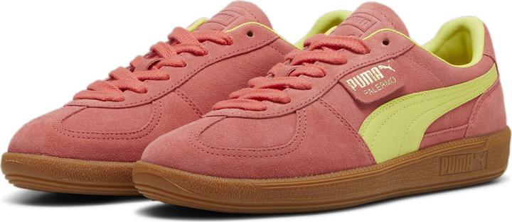 Salmon-Lime Sheen-Gum