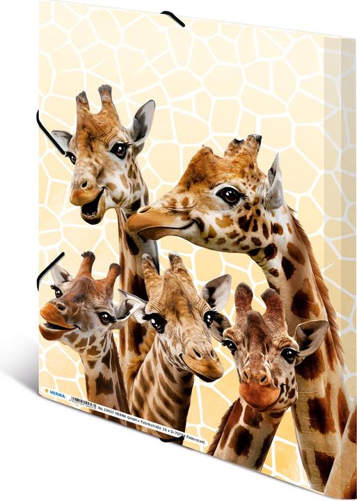 Produktbild HERMA Sammelmappe A4 Motiv (A4, 1x)