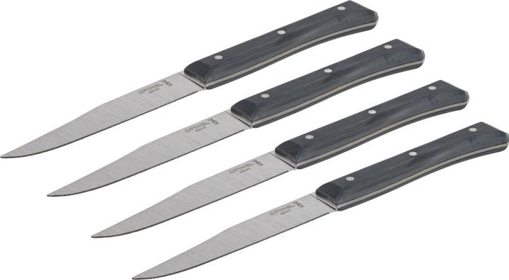 Actual product image Opinel Facette slate, serrated, Box of 4 (4 Piece, Knife)