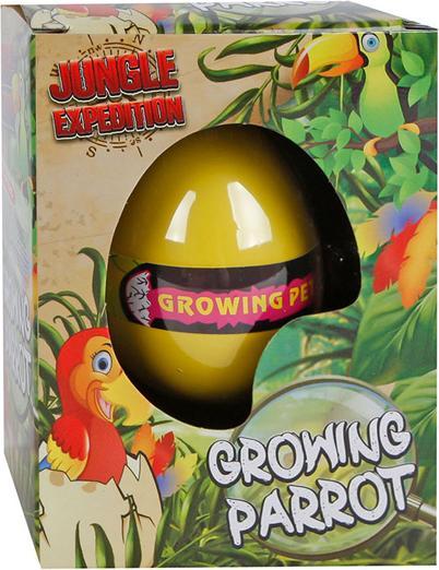 Image du produit Sombo Oeuf - Perroquet se former display