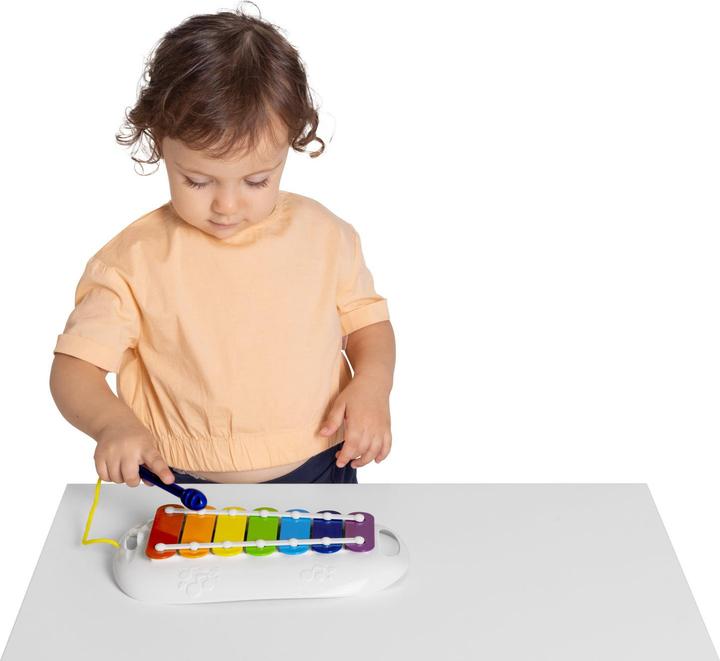 Actual product image Chicco Musikspielzeug Mein erstes Xlophon (German)