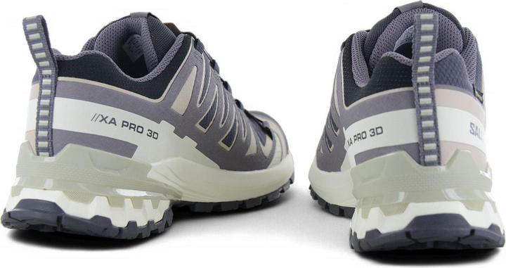 Image du produit Salomon XA Pro 3D V9 GTX (41)
