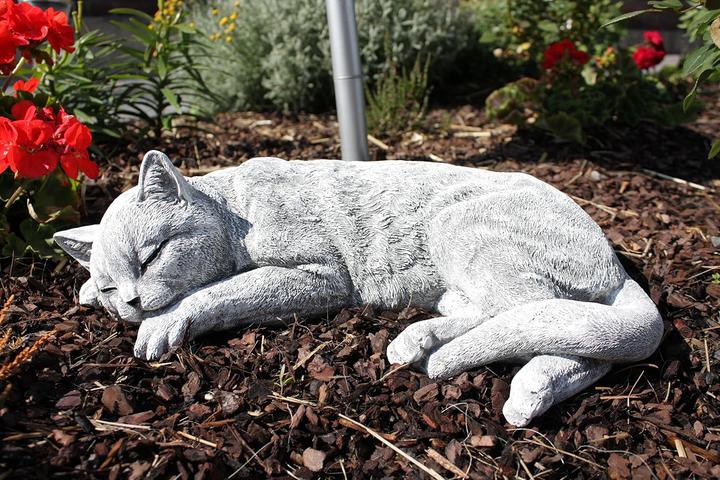 Image du produit Stoneandstyle Schlafende Katze