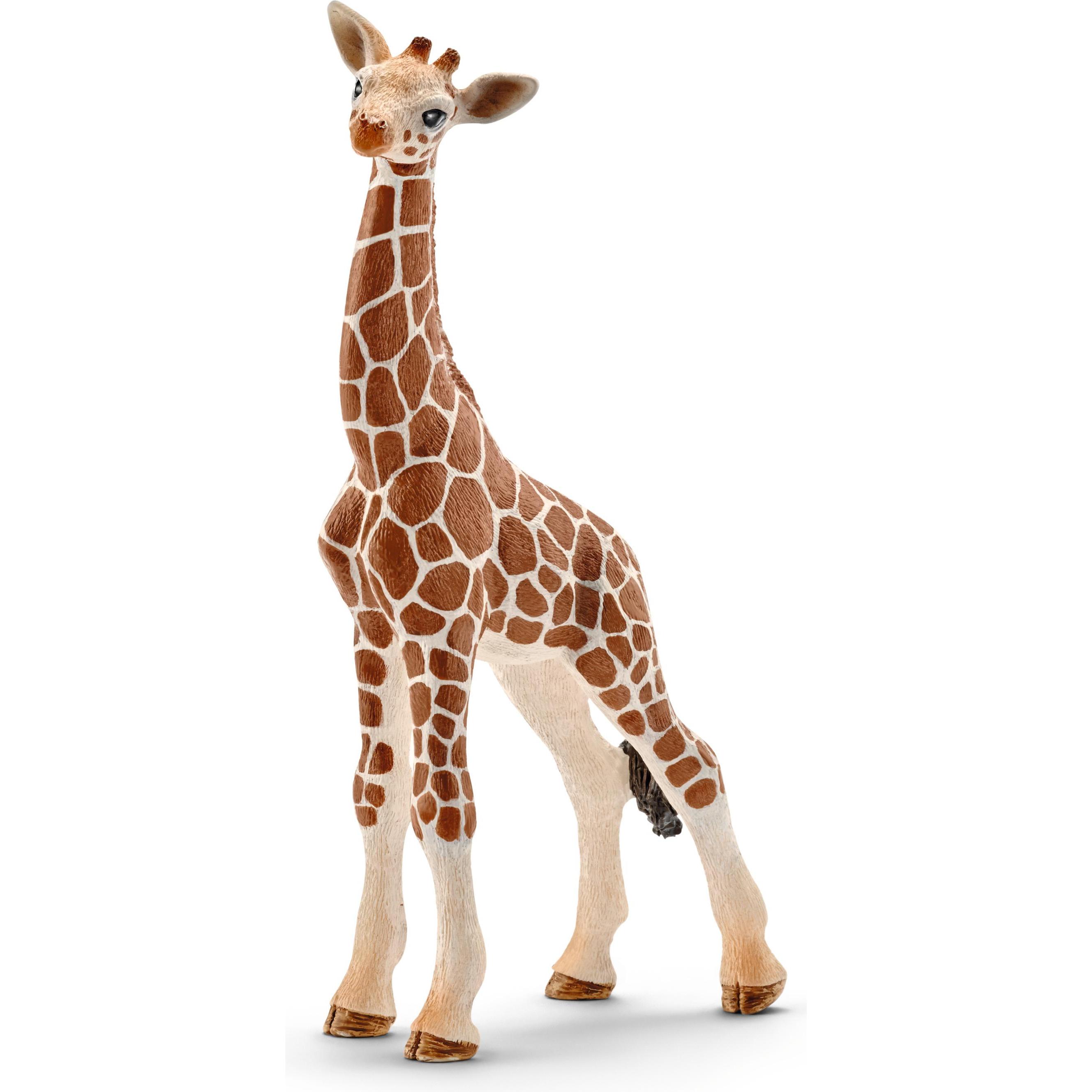 Thumbnail - Schleich Giraffenbaby