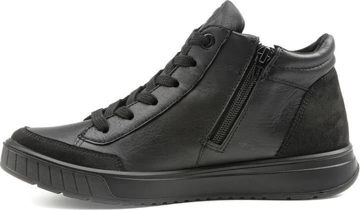 Image du produit Ara ROM 2.0 (38.5)