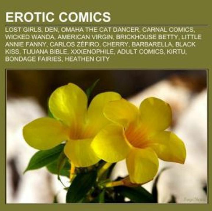 Produktbild Erotic comics (Englisch, 2012)