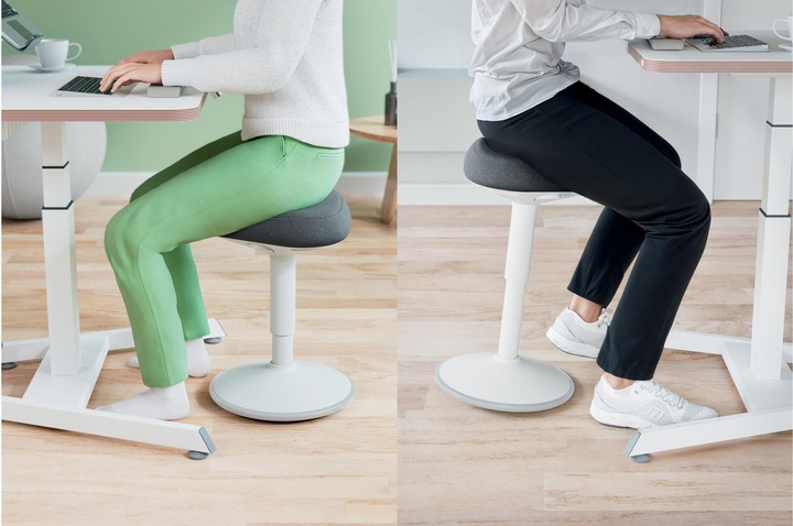 Image du produit Leitz Ergo Active