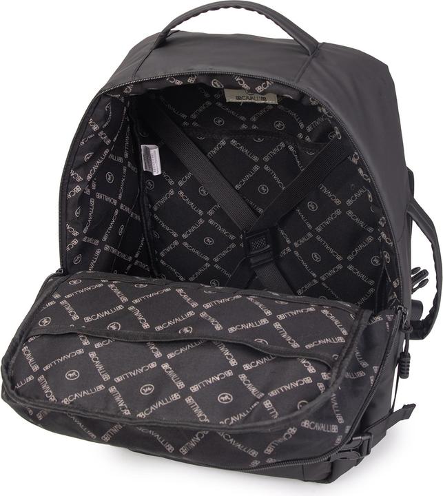 Actual product image B.Cavalli Bc1393 (4.16 l)