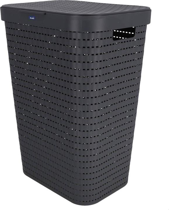 Rotho Country (55 l)