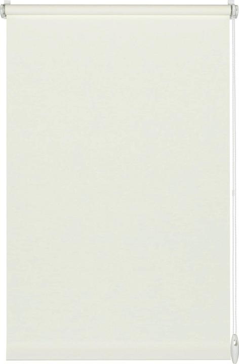 300 White