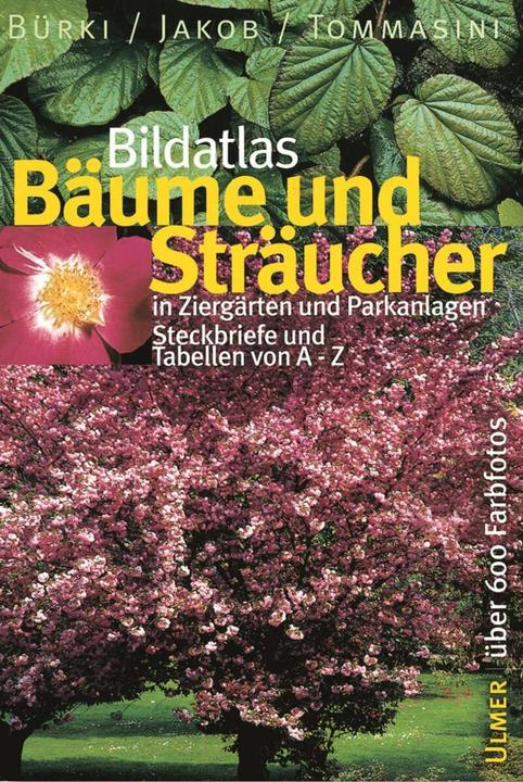 Produktbild Bildatlas Bäume und Sträucher in Ziergärten und Parkanlagen (Deutsch, Domenico M. Tommasini, Fritz Jakob, Moritz Bürki, 2002)