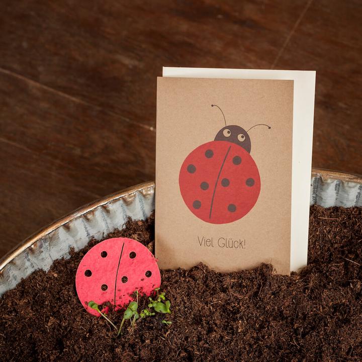 Actual product image Die Stadtgärtner Greeting Card "Good Luck" with Seeds for Flowers