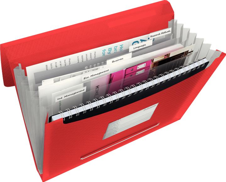 Image du produit Esselte Dossier à compartiments VIVIDA (A4, 1x)