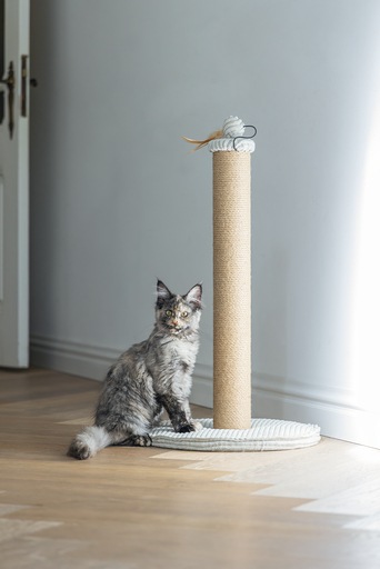 Actual product image Designed by Lotte Scratching post (70 cm, Light grey)