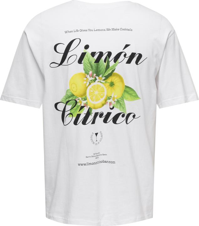Immagine prodotto Only & Sons Onskeane Rlx Ss Print Tee Noos (S)
