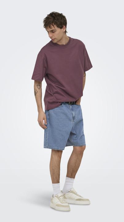 Produktbild Only & Sons Onsfred Life Rlx Ss Tee Noos (S)