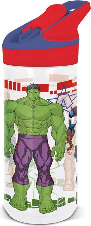 Actual product image Stor Ecozen Premium Bottle 620ml (0.62 l)