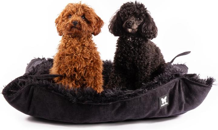 Produktbild Martin Sellier Toudoudou (Hund)