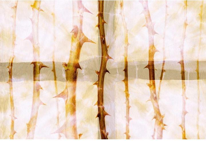 Produktbild Architects Paper Atelier 47 Thorn Art Natur (400 x 270 cm)