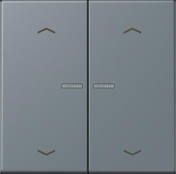 Actual product image JUNG BTLC17102P251 HOME push button