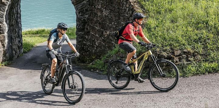 Produktbild Flyer Goroc3 6.50 (51 cm)