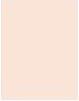 Actual product image Bourjois Healthy Mix Clean & Vegan Naturally Radiant Powder (01 Ivory)