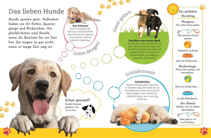 Produktbild Alles über deinen Hund (Deutsch, Andrea Mills, 2018)