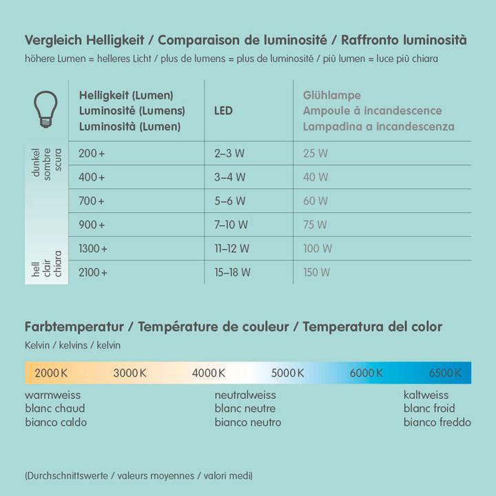 Valeurs nutritives et ingrédients micasa Lines & Curves (E27, 140 lm, 1x)