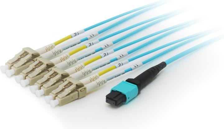 Produktbild equip MTP/LC Trunk Fiber Patch Cord OM4 M/M (CAT8.1, 7 m)