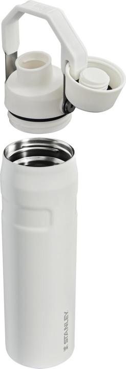 Actual product image Stanley 1913 Aerolight IceFlow (0.60 l)
