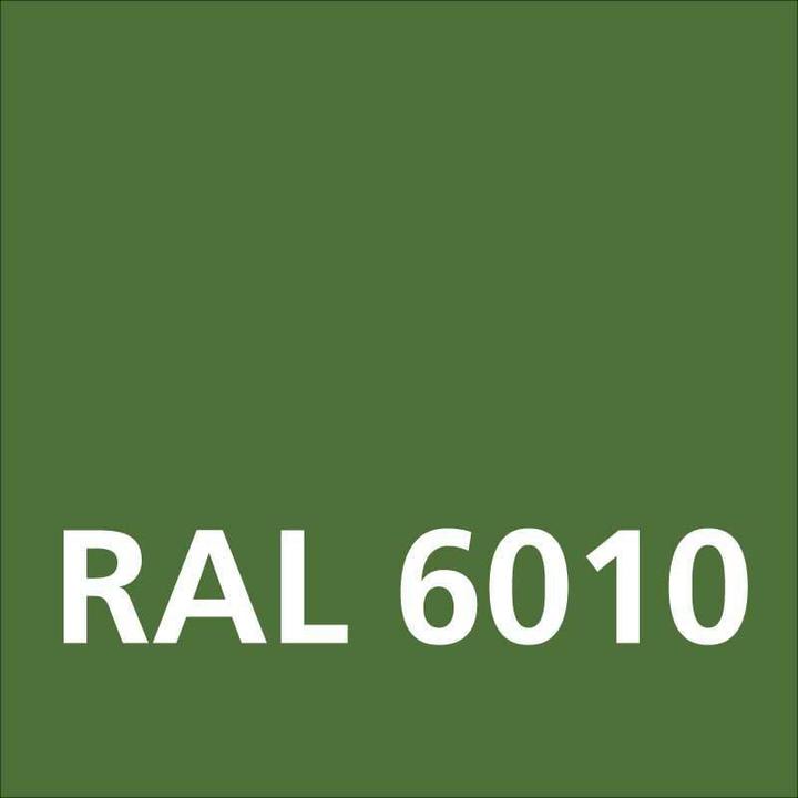 Actual product image Dupli-Color Glossy acrylic paint RAL 6010 grass green (Grass green, 0.40 l)