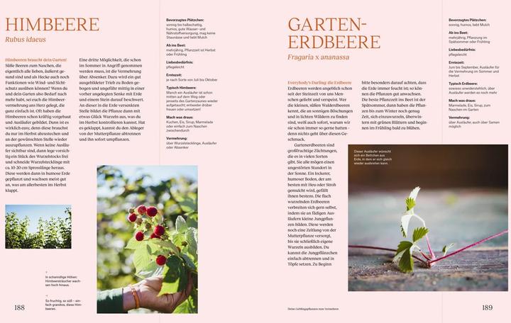 Produktbild Wie du dein eigenes Saatgut gewinnst – und so ein kleines Stück Welt rettest (Deutsch, Sigrid Drage, 2021)