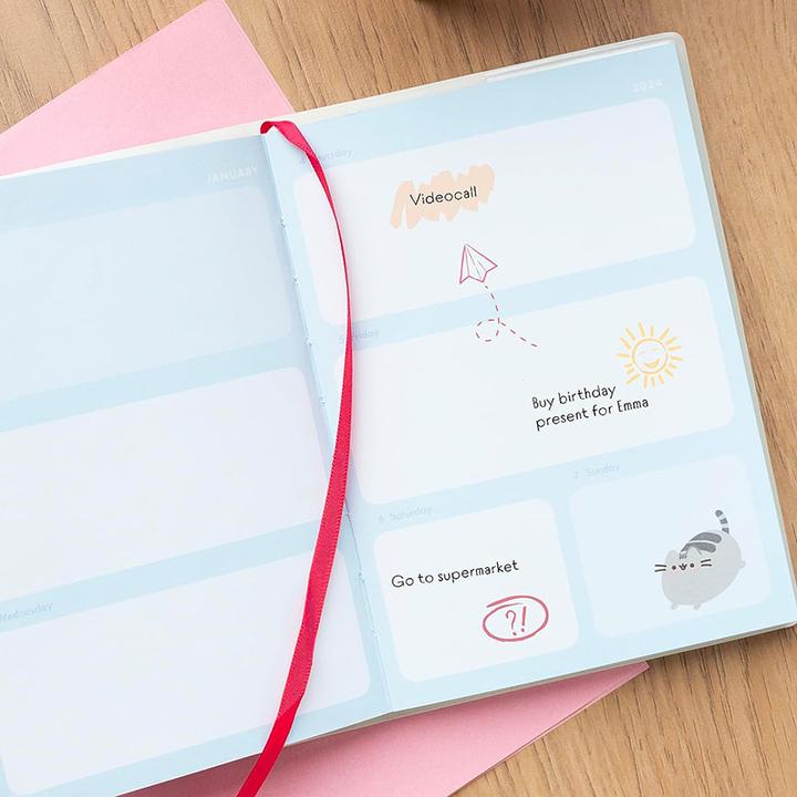 Actual product image Grupo Erik PUSHEEN - Agenda Pocket 2023/2024 - 17 Mois - UK (A6)