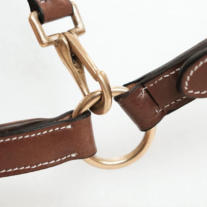 Image du produit TdeT Licol pour cheval en cuir avec plaque