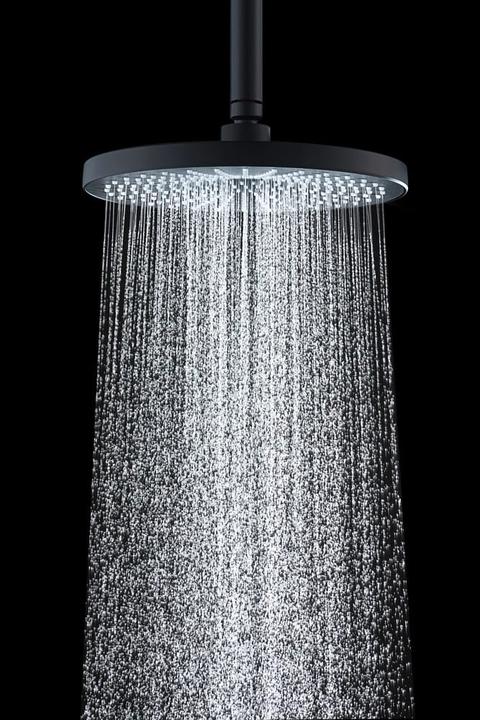 Produktbild Wenko Ultimate Regendusche Ø250 (1 Strahlart)
