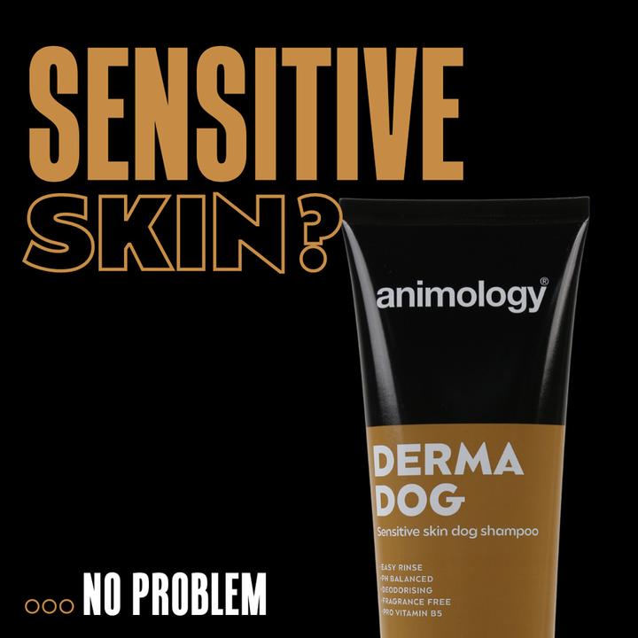 Actual product image Animology Derma Dog (Dog, 250 ml)
