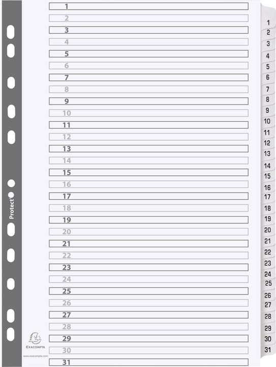 Actual product image Exacompta Cardboard register - white