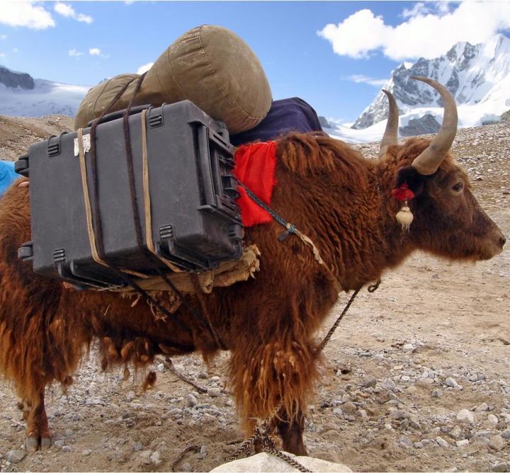 Actual product image Explorer Cases 5140 Trolley Black with Drawers