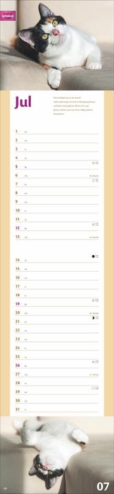 Produktbild Whiskas Katzenleben Kalender 2026 (Harter Einband, Deutsch)