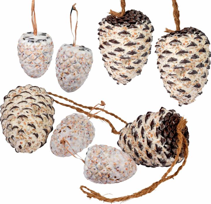 Dobar Pine cone (8 x, 1.60 kg)
