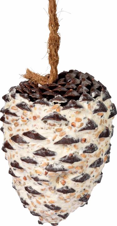 Actual product image Dobar Pine cone (8 x, 1.60 kg)