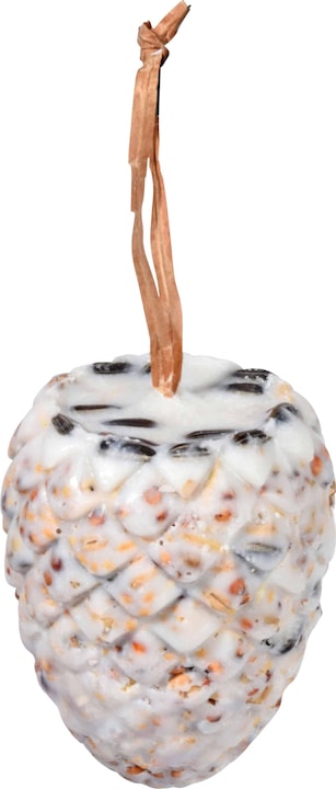 Produktbild Dobar Pinienzapfen (8 x, 1.60 kg)