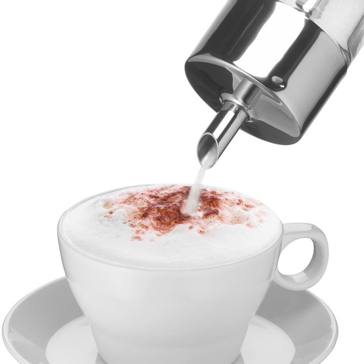 Actual product image WMF Barista (0.25 l)